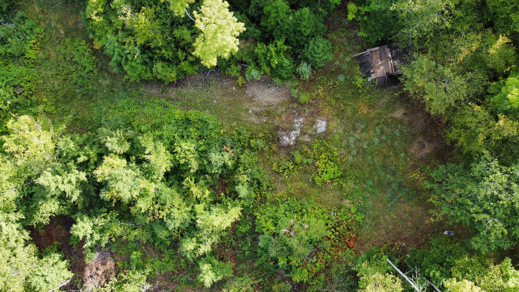 Lot 8-9 Moores Road Springfield, ME 04487 - Photo 6 of 22 6