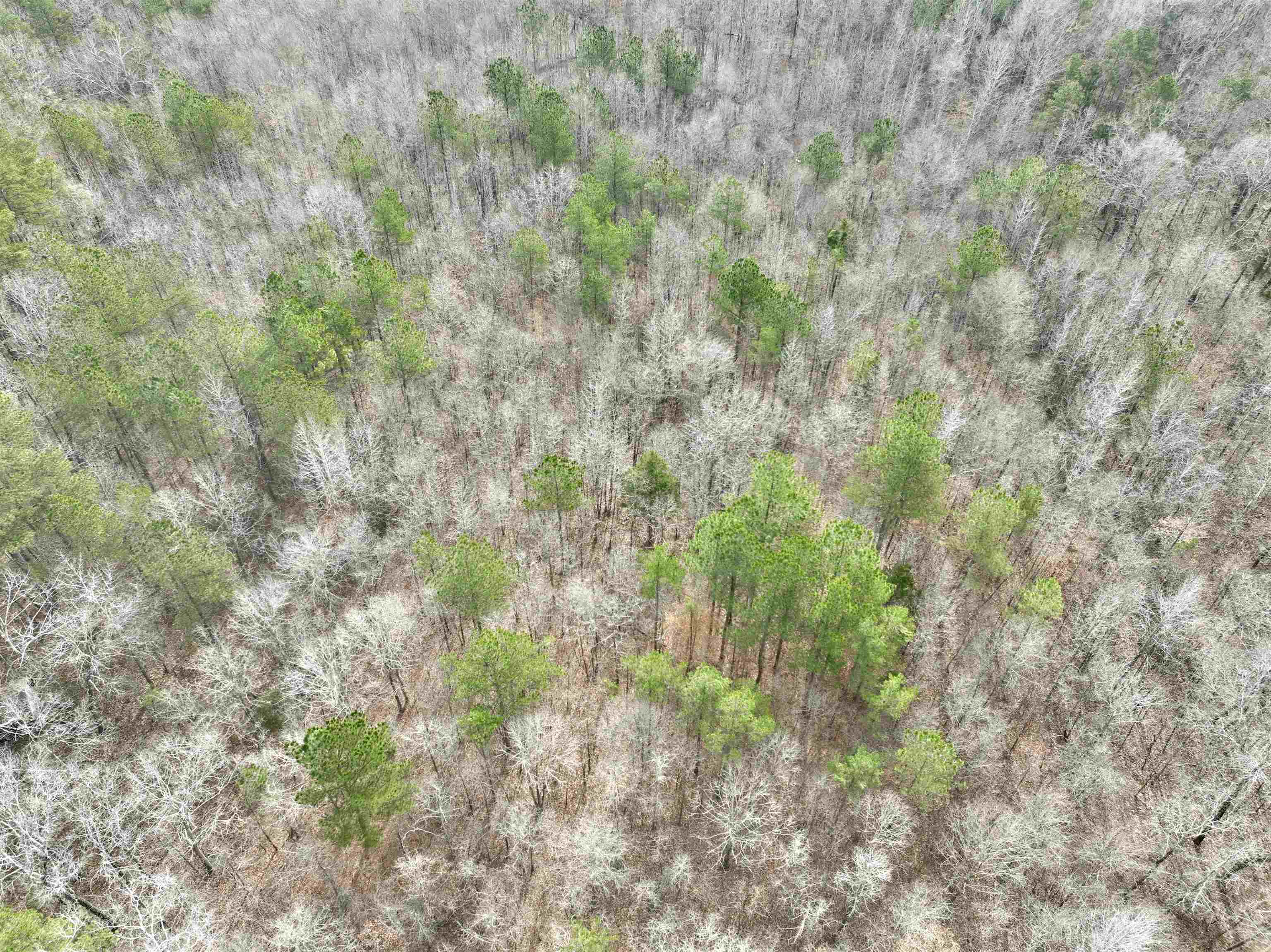 3735 Friendship Road Ramer, TN 38367 - Photo 3 of 7 Birds eye view of property