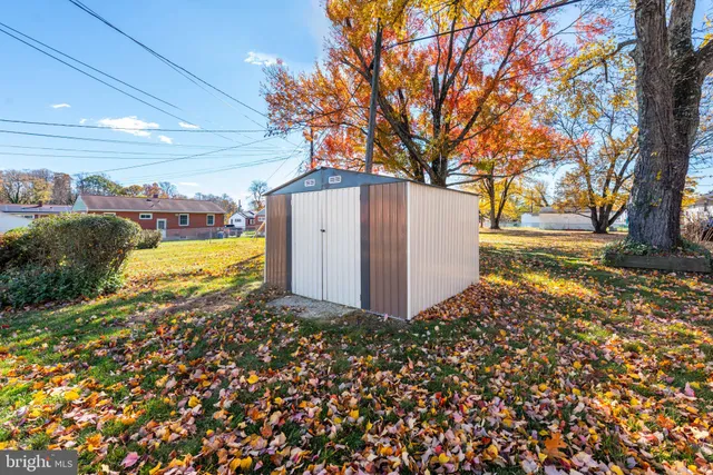 a view of a yard with an trees