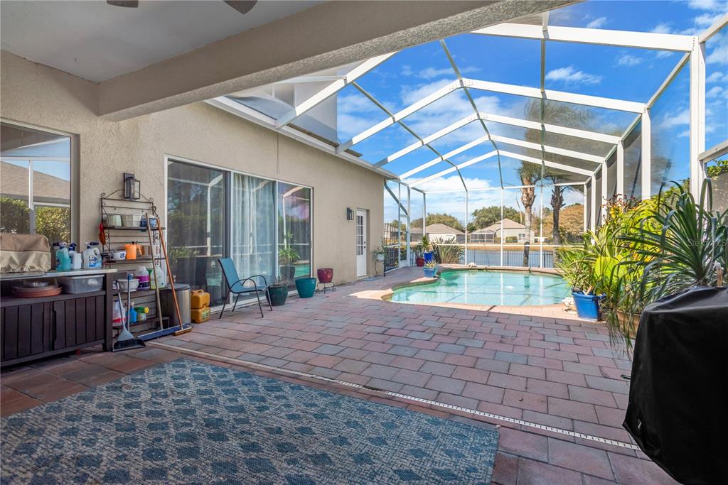 19015 Fern Meadow Loop Lutz, FL 33558 - Photo 37 of 50 a view of outdoor space