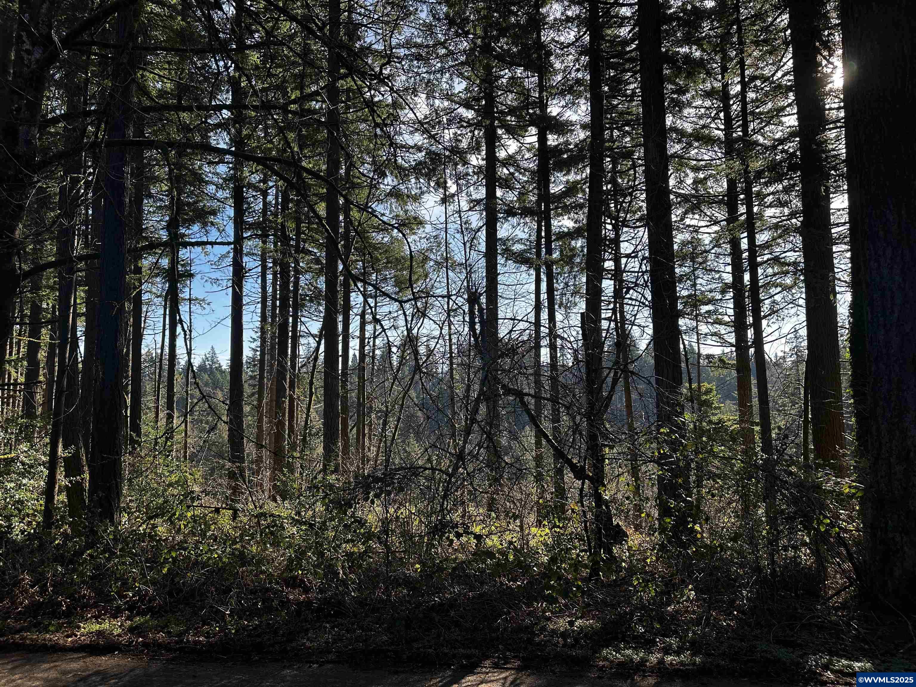 South Meyers (next To) Road Oregon City, OR 97045 - Photo 6 of 17