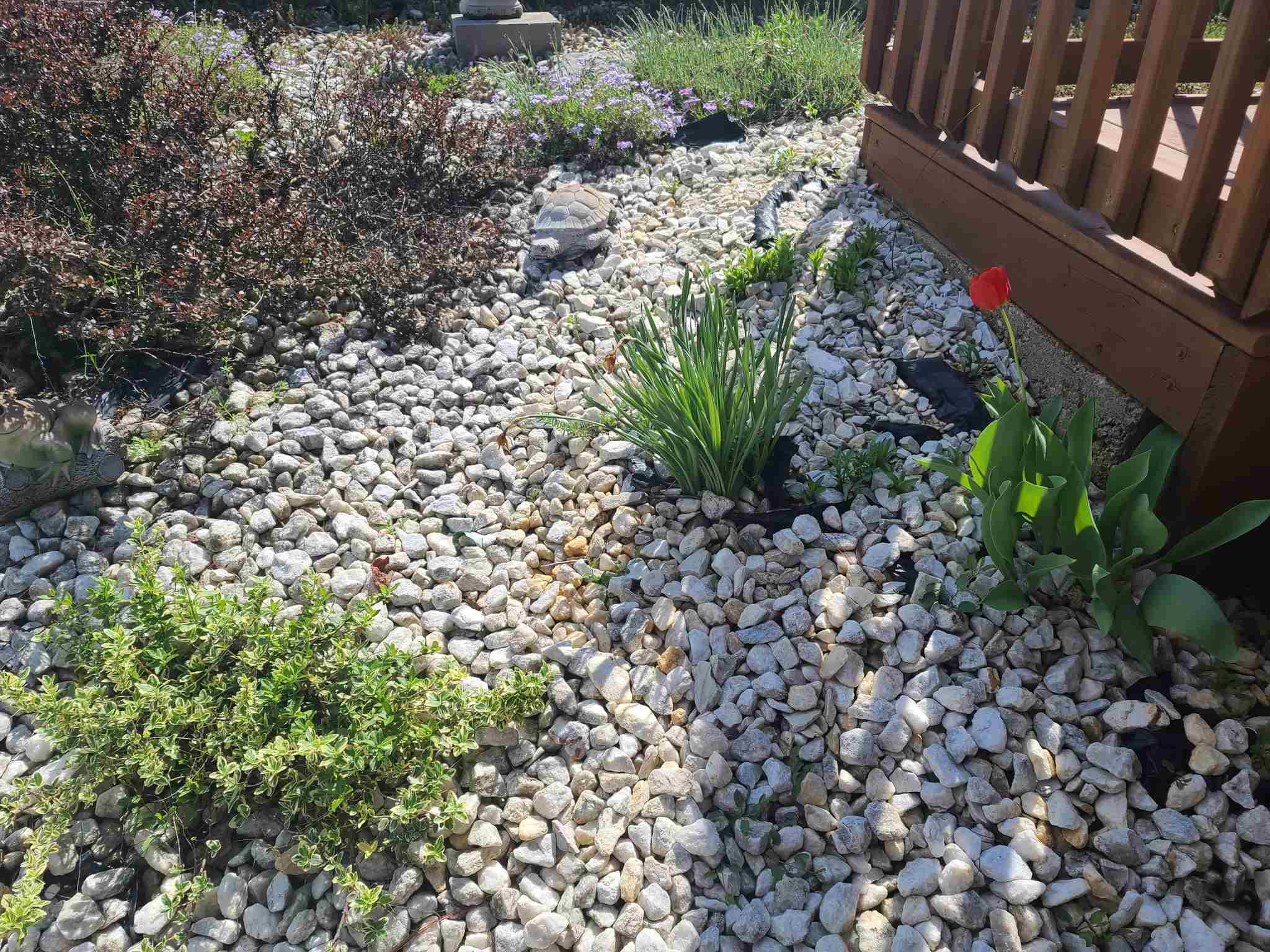 6711 West Ratliff Road Bloomington, IN 47404 - Photo 9 of 33