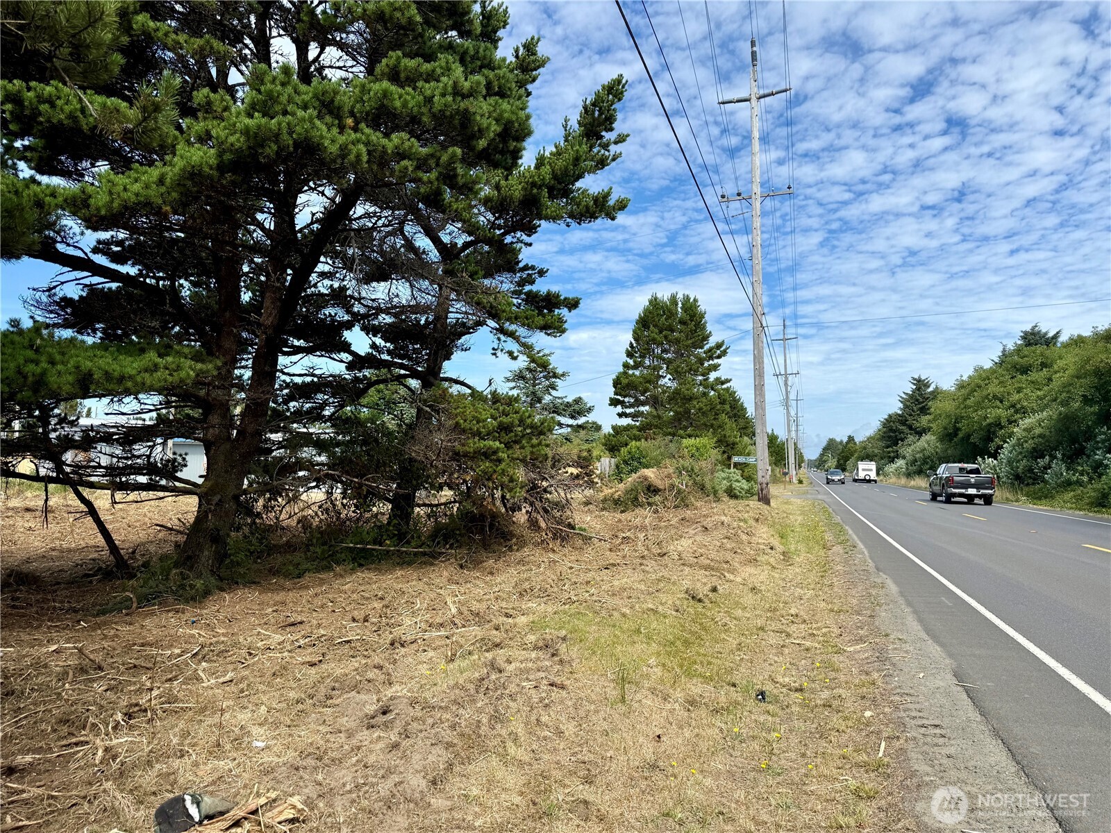 96 X State Route 105 Grayland, WA 98547 - Photo 3 of 11 a view of a yard with plants