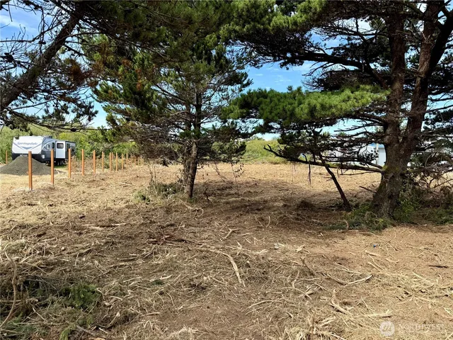 a view of outdoor space with trees