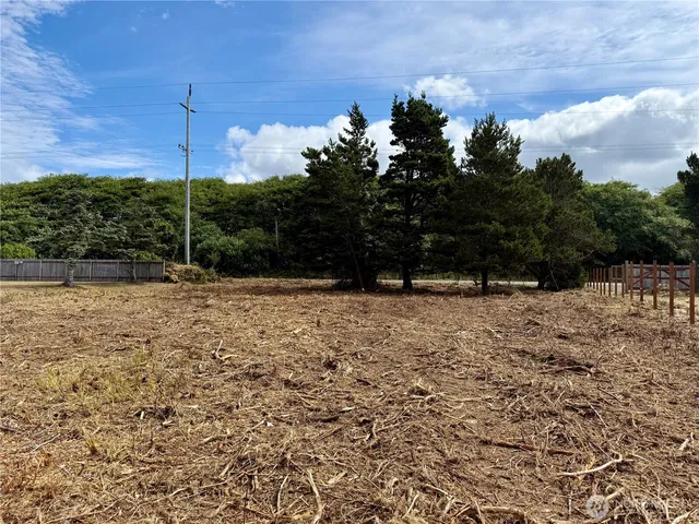 a view of a field with trees in background