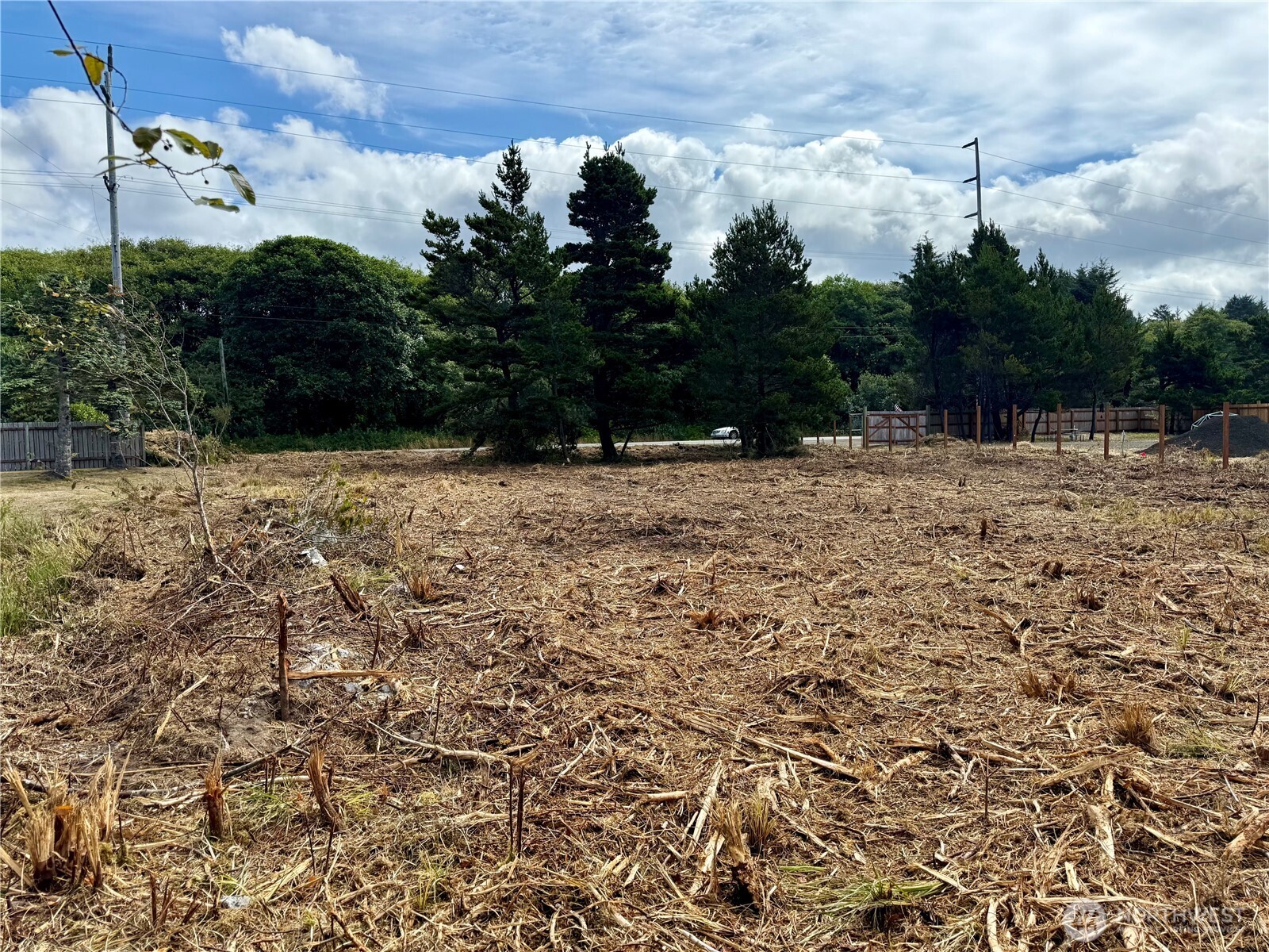 96 X State Route 105 Grayland, WA 98547 - Photo 7 of 11 a view of empty room