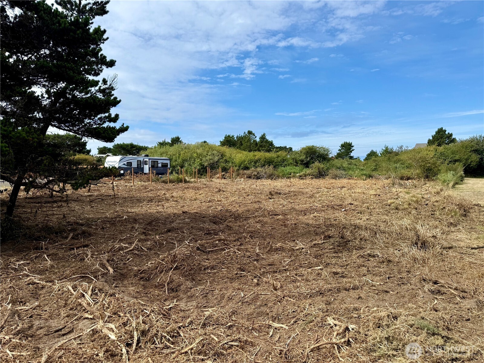 96 X State Route 105 Grayland, WA 98547 - Photo 8 of 11 a view of a field with trees in background