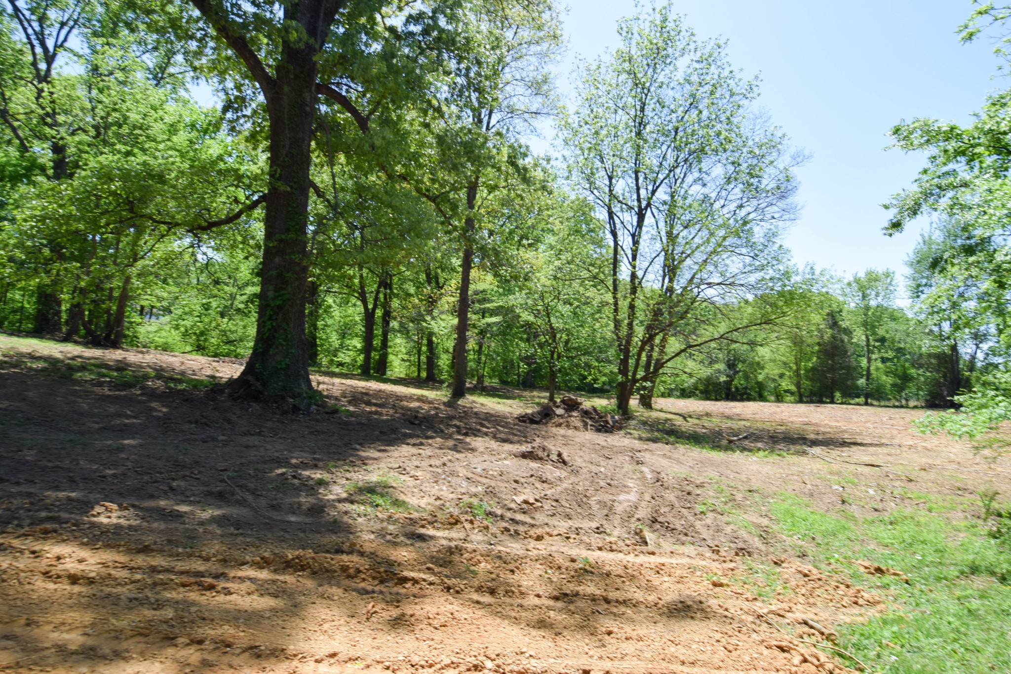 430 S Road Cottontown, TN 37048 - Photo 19 of 20 Gallery Image 19