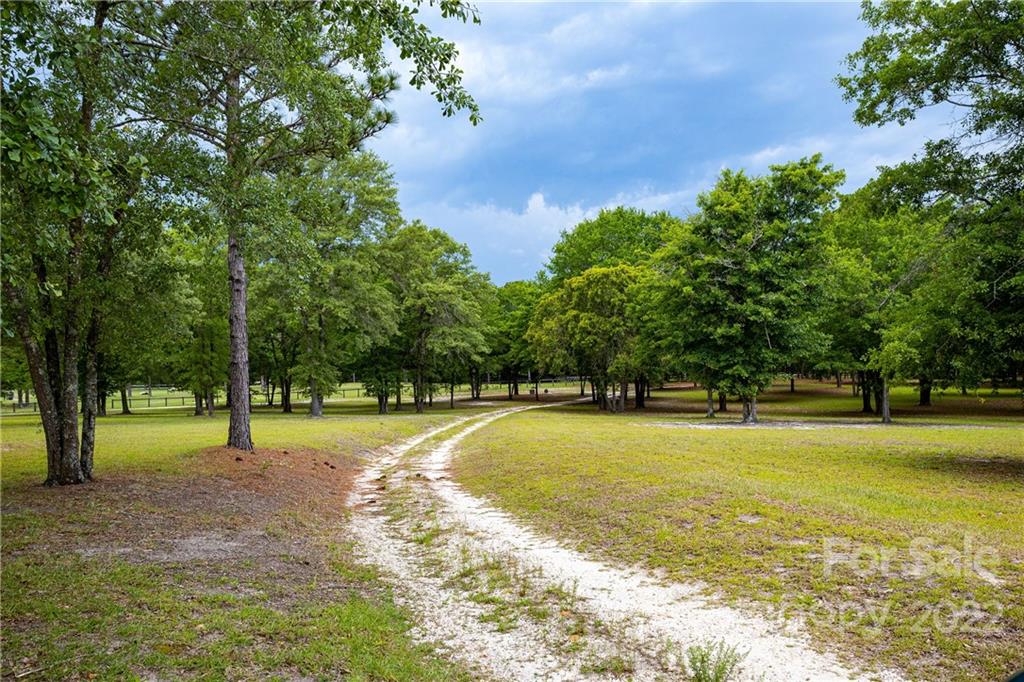 200 Hunt Trace, Unit B Camden, SC 29020 - Photo 32 of 40 a view of swimming pool with trees