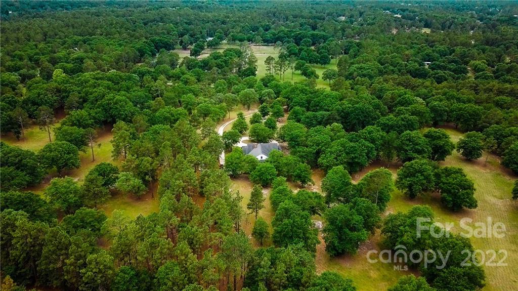 200 Hunt Trace, Unit B Camden, SC 29020 - Photo 36 of 40 a view of a lush green forest with lots of trees