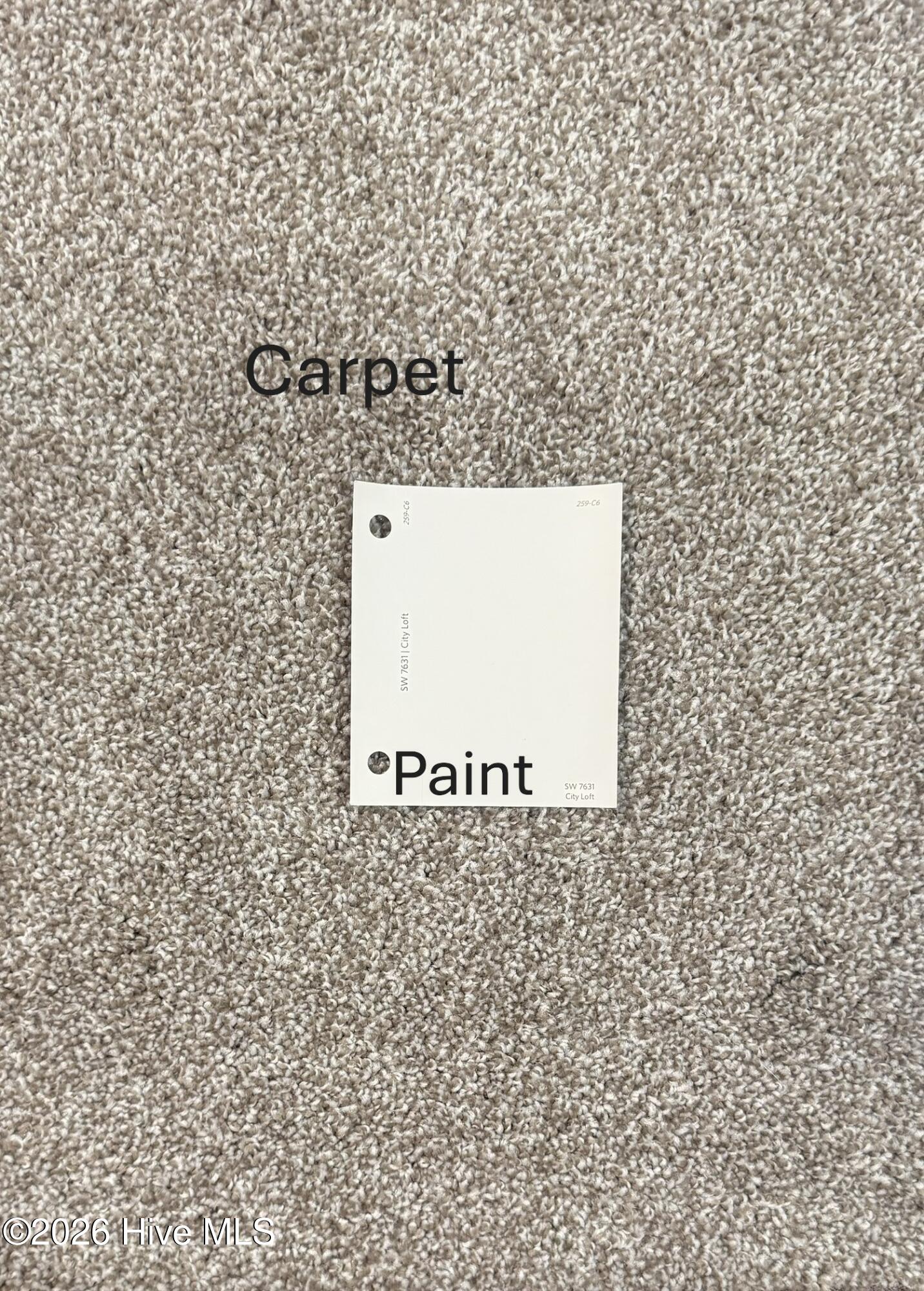 260 Laborde Lane Raeford, NC 28376 - Photo 5 of 6 SL58 Carpet & Paint