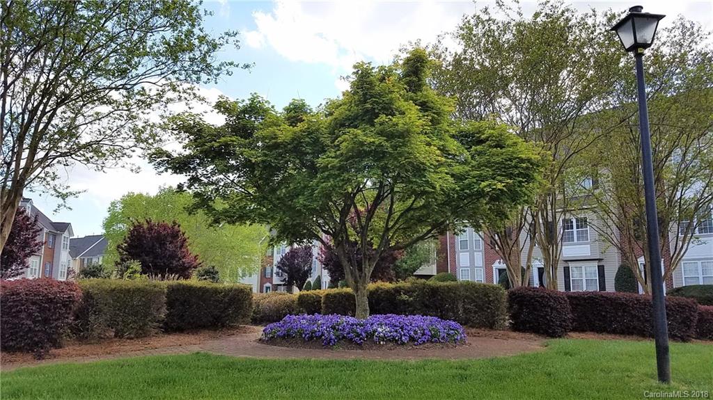 9919 Treeside Lane Matthews, NC 28105 - Photo 27 of 28