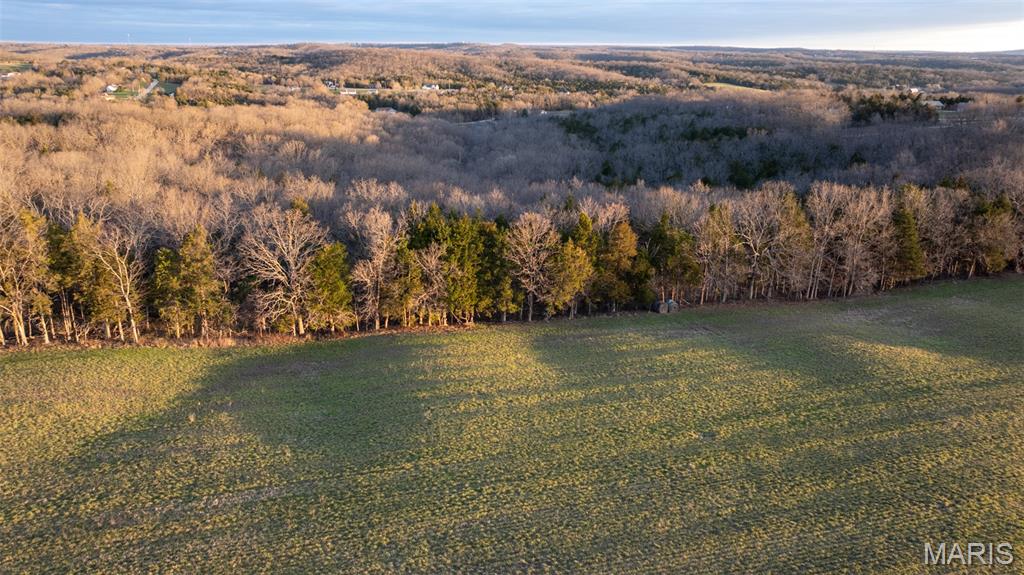 0 Flucom Road East De Soto, MO 63020 - Photo 15 of 50