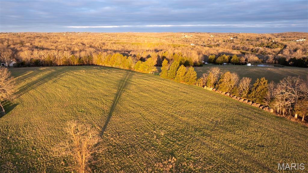 0 Flucom Road East De Soto, MO 63020 - Photo 16 of 50