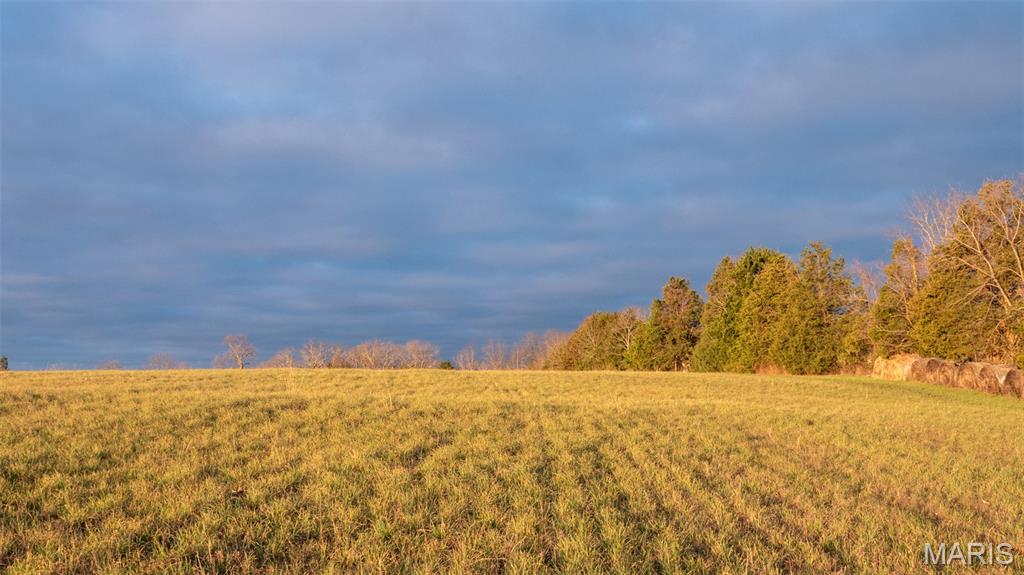 0 Flucom Road East De Soto, MO 63020 - Photo 20 of 50