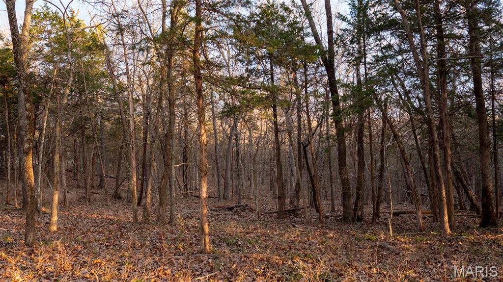 0 Flucom Road East De Soto, MO 63020 - Photo 21 of 50