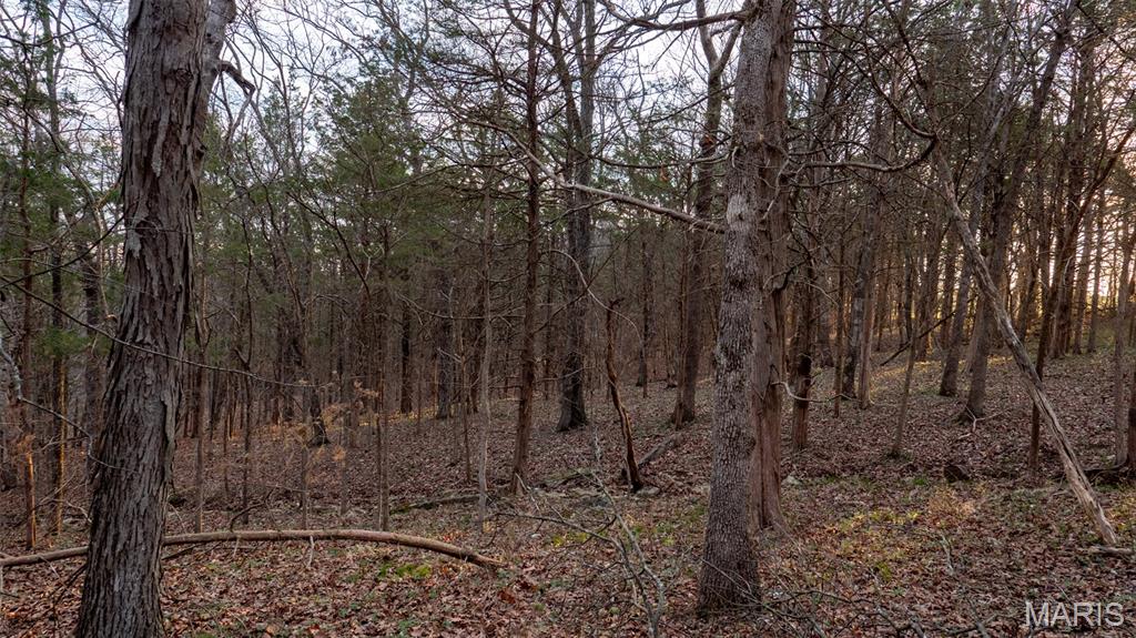 0 Flucom Road East De Soto, MO 63020 - Photo 22 of 50