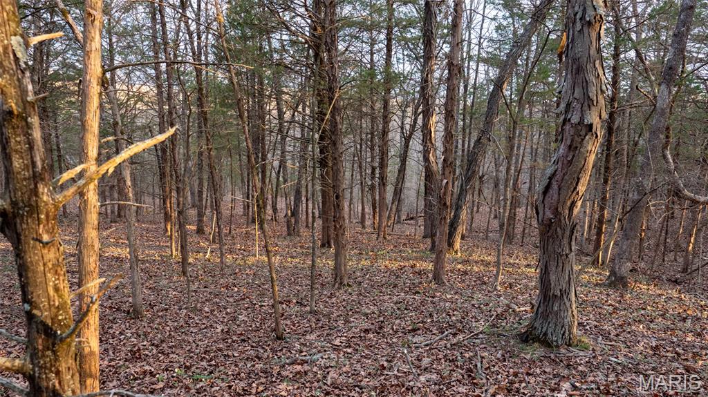 0 Flucom Road East De Soto, MO 63020 - Photo 23 of 50