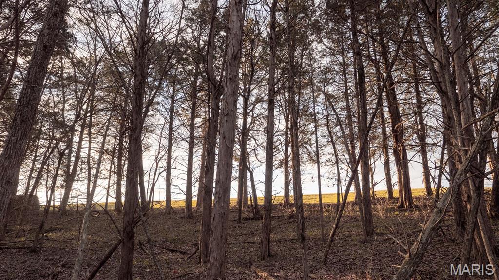 0 Flucom Road East De Soto, MO 63020 - Photo 24 of 50