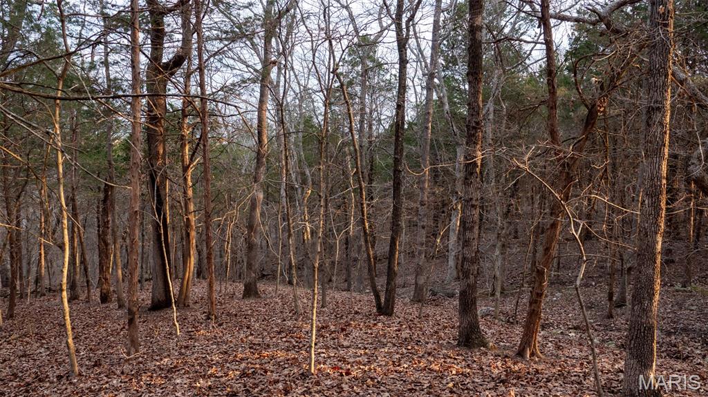 0 Flucom Road East De Soto, MO 63020 - Photo 25 of 50