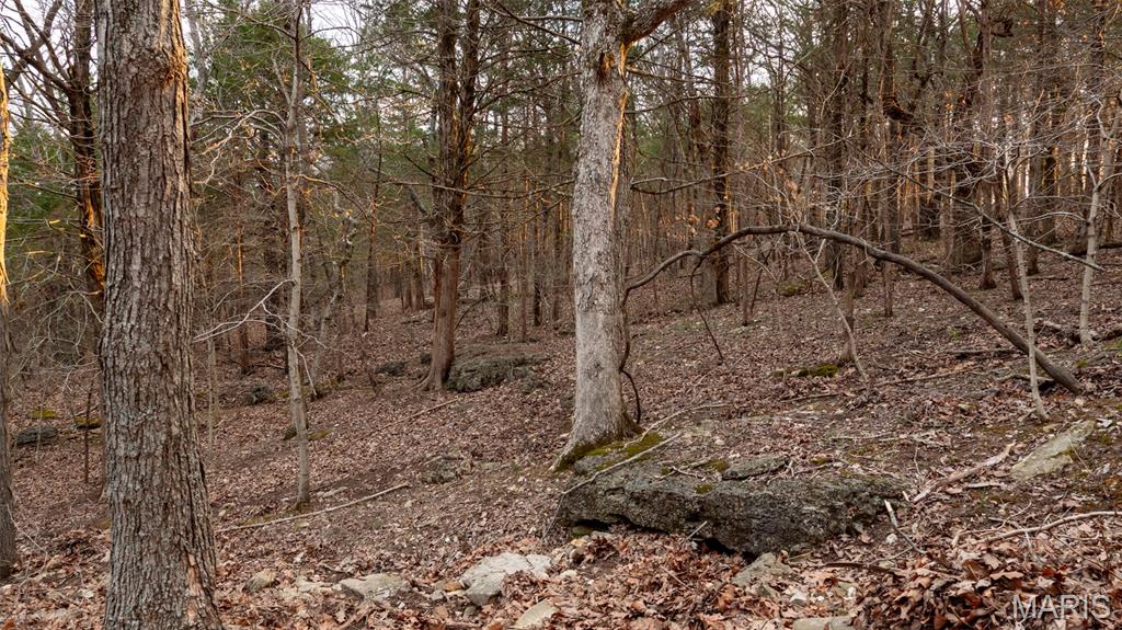 0 Flucom Road East De Soto, MO 63020 - Photo 26 of 50