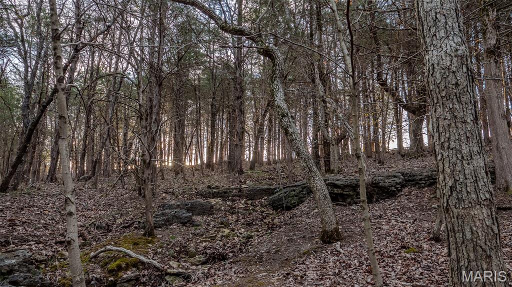 0 Flucom Road East De Soto, MO 63020 - Photo 29 of 50