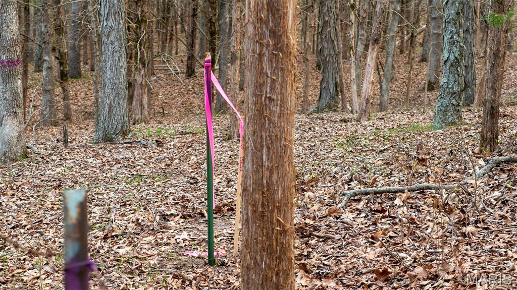 0 Flucom Road East De Soto, MO 63020 - Photo 30 of 50