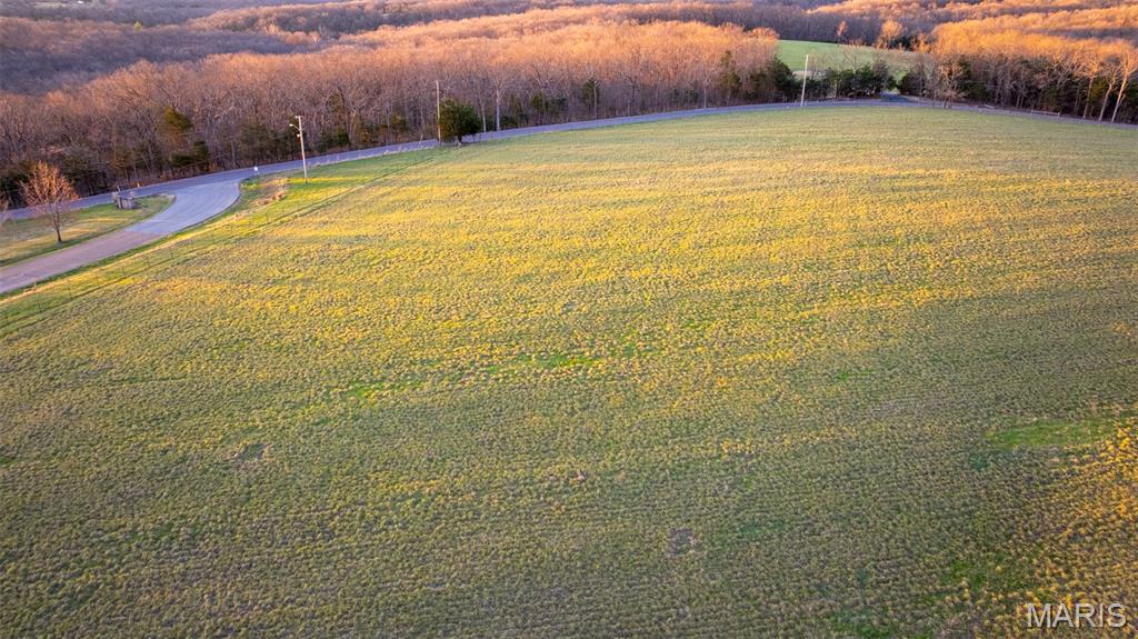 0 Flucom Road East De Soto, MO 63020 - Photo 3 of 50