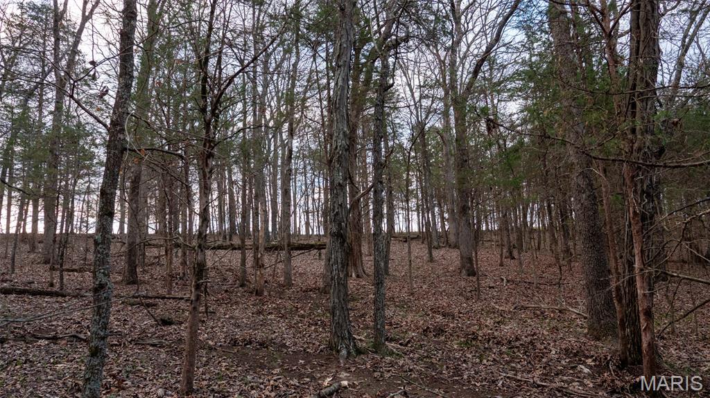 0 Flucom Road East De Soto, MO 63020 - Photo 31 of 50