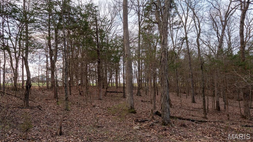 0 Flucom Road East De Soto, MO 63020 - Photo 32 of 50