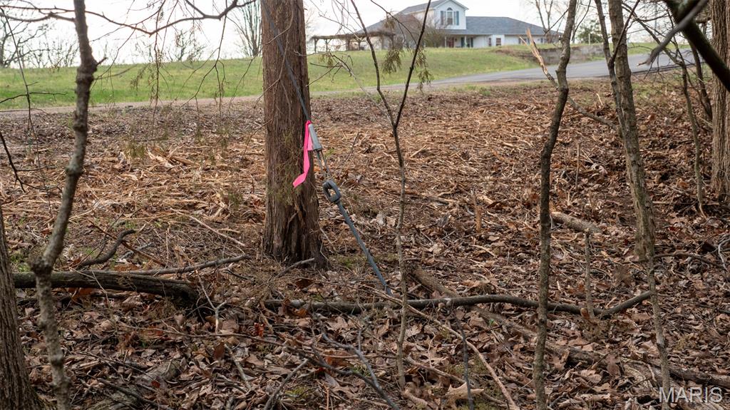 0 Flucom Road East De Soto, MO 63020 - Photo 33 of 50