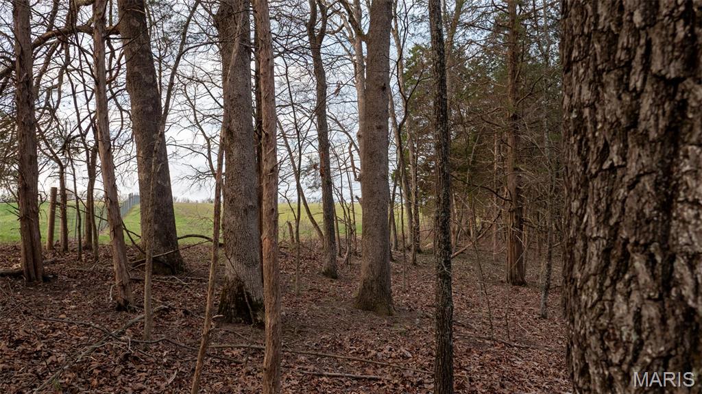 0 Flucom Road East De Soto, MO 63020 - Photo 34 of 50