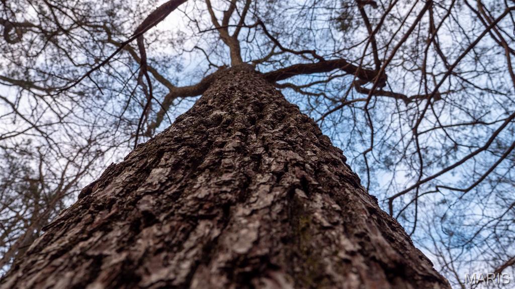 0 Flucom Road East De Soto, MO 63020 - Photo 35 of 50