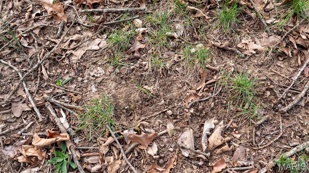 0 Flucom Road East De Soto, MO 63020 - Photo 38 of 50