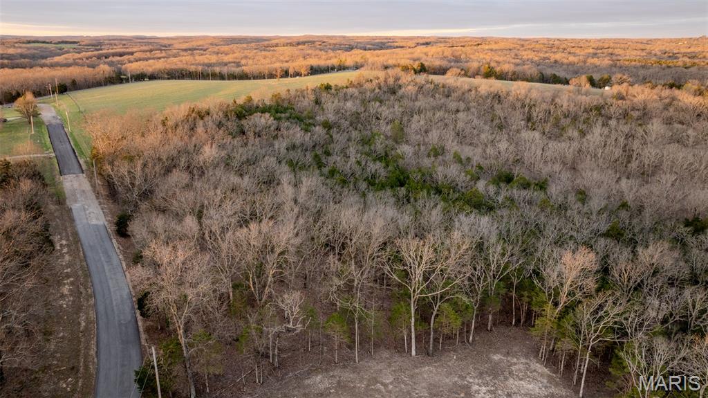 0 Flucom Road East De Soto, MO 63020 - Photo 9 of 50