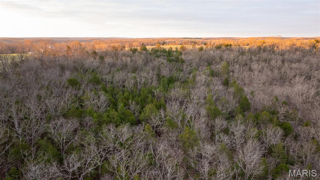 0 Flucom Road East De Soto, MO 63020 - Photo 10 of 50