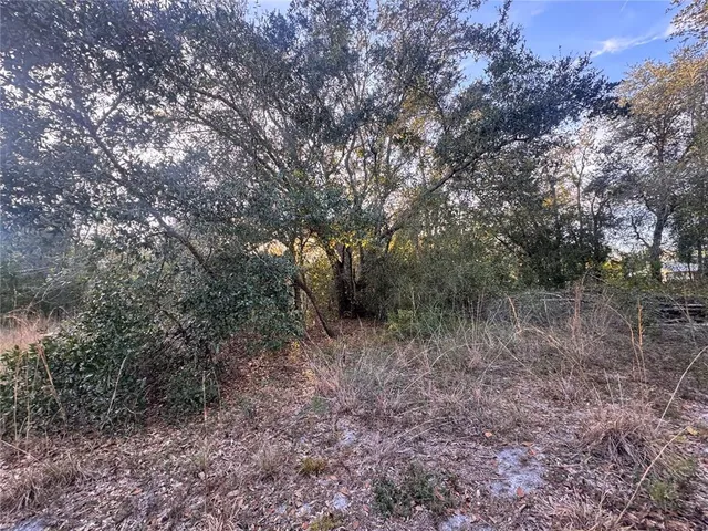 $148,900 | 3960 Northwest Bachtold Drive, Arcadia, FL 34266