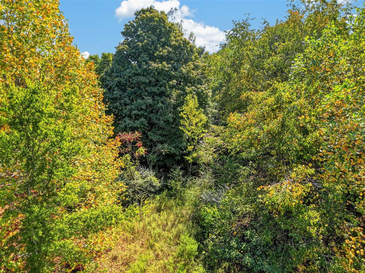 2365 R Whittaker Road Lewisburg, KY 42256 - Photo 12 of 14 Gallery Image 12