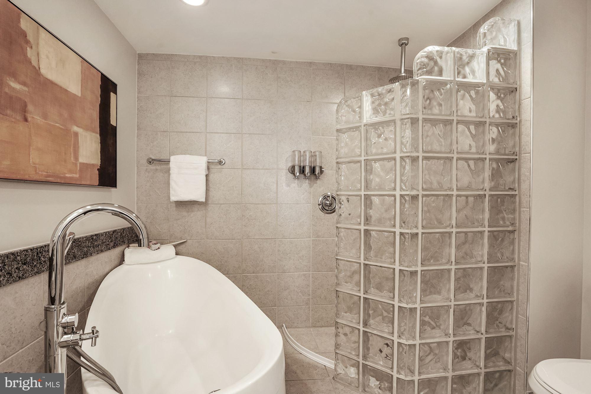 724 Capitol Square Place Southwest Washington, DC 20024 - Photo 26 of 40 Free-standing soaking tub & walk-in shower