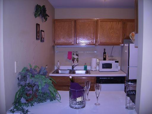 3255 Kirchoff Road, Unit 106 Rolling Meadows, IL 60008 - Photo 3 of 14