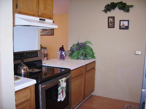 3255 Kirchoff Road, Unit 106 Rolling Meadows, IL 60008 - Photo 4 of 14