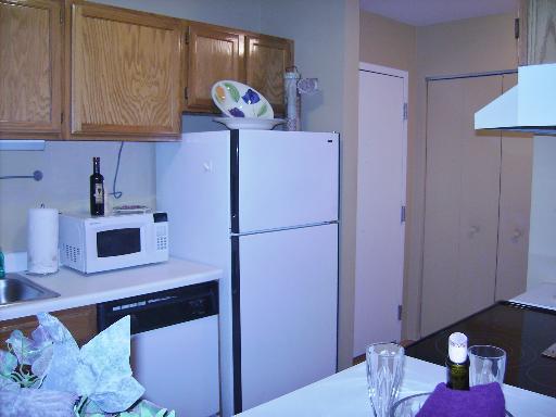 3255 Kirchoff Road, Unit 106 Rolling Meadows, IL 60008 - Photo 5 of 14