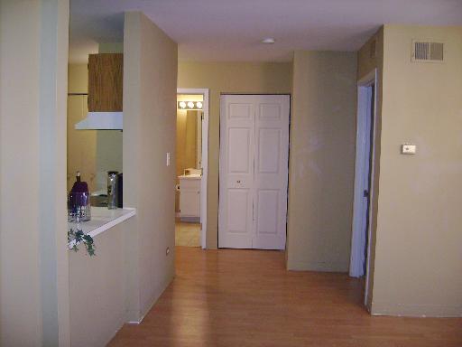 3255 Kirchoff Road, Unit 106 Rolling Meadows, IL 60008 - Photo 7 of 14