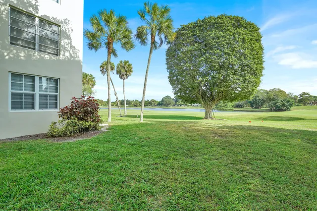 a view of a field with a tree