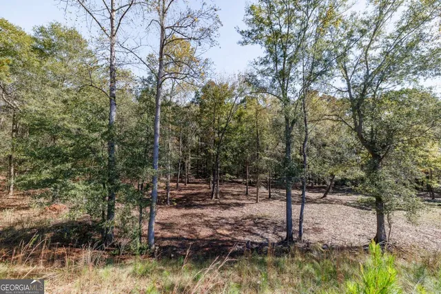 a view of outdoor space and yard