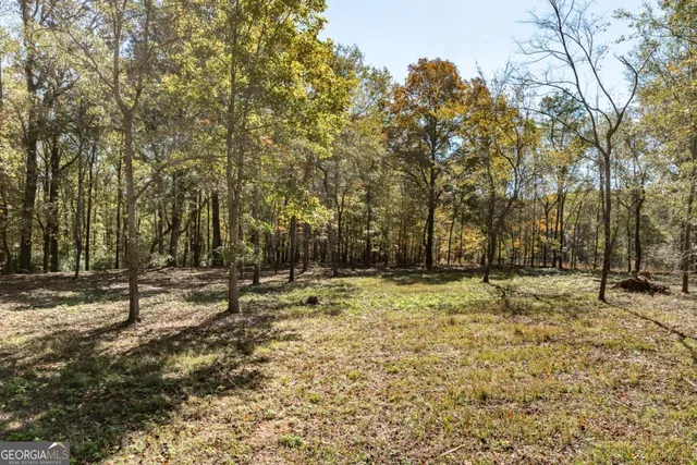 a view of outdoor space with trees