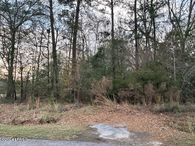 Tbd Paynesville Road Hardeeville, SC 29927 - Photo 1 of 3 Front View