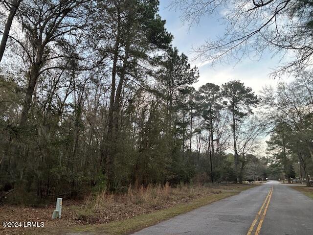 Tbd Paynesville Road Hardeeville, SC 29927 - Photo 2 of 3 Road View