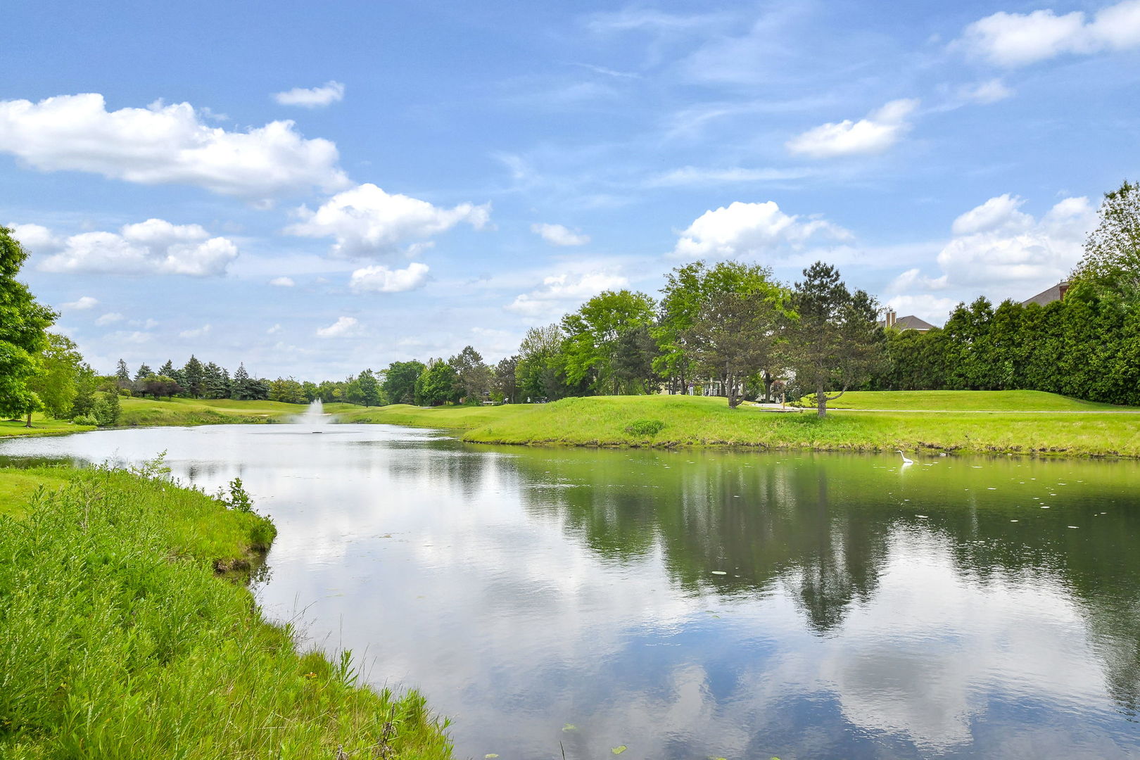 26W199 Klein Creek Drive Winfield, IL 60190 - Photo 4 of 29 a view of a lake with a big yard
