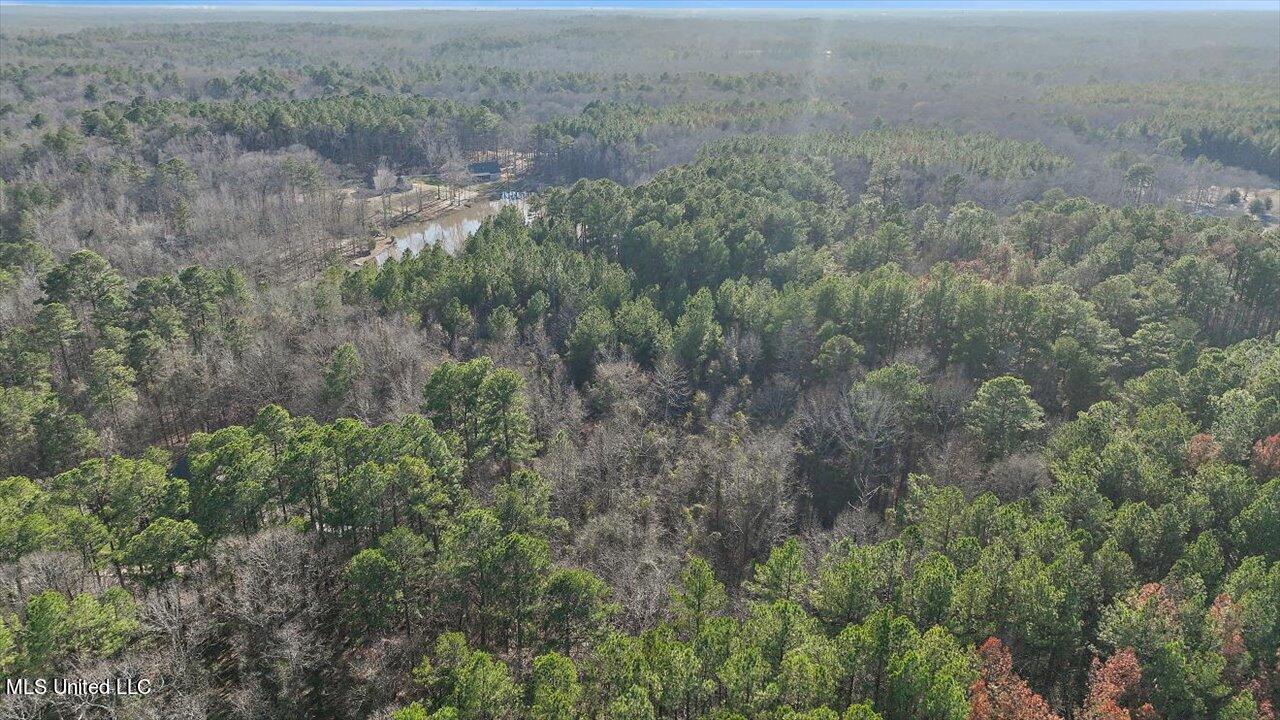 1074 Ridgeside Drive Brandon, MS 39042 - Photo 19 of 30 18-1074 Ridgeside Dr